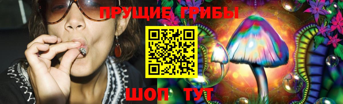 Галлюциногенные грибы Psilocybe  Вход с VPN  Коркино 
